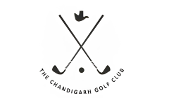 logo21